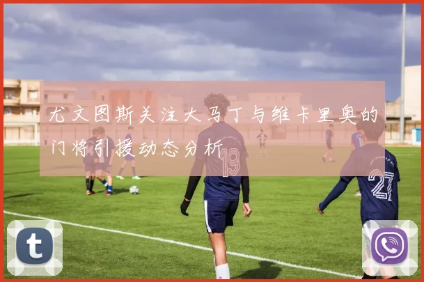 尤文图斯关注大马丁与维卡里奥的门将引援动态分析